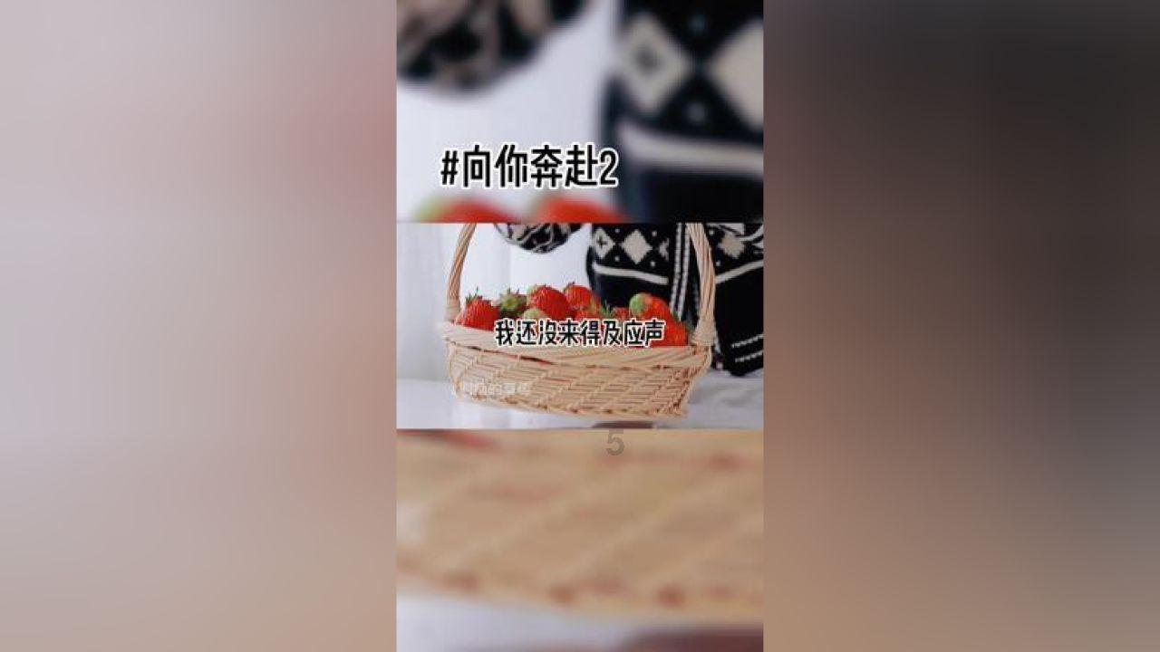 探索知识星球平台| 三文鱼会不会发胖知识分享社区