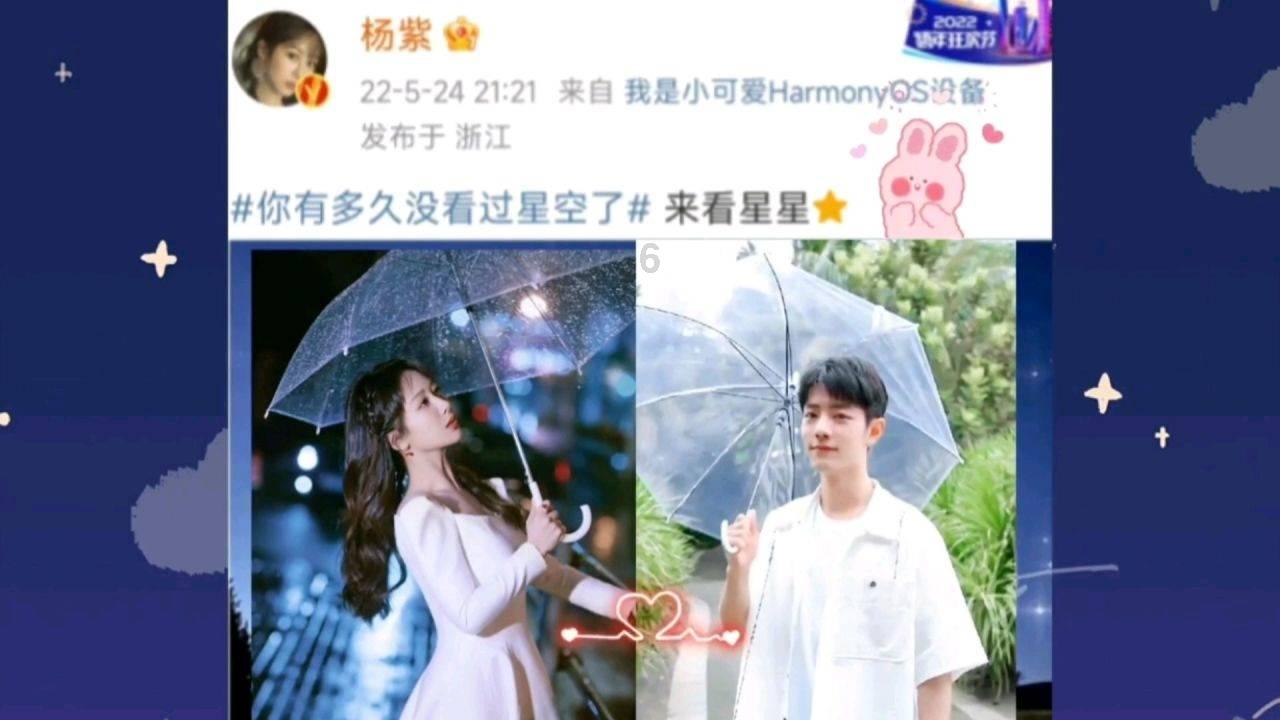 创作猫